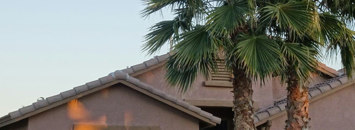 Palm trees beside a stucco home under a clear desert sky