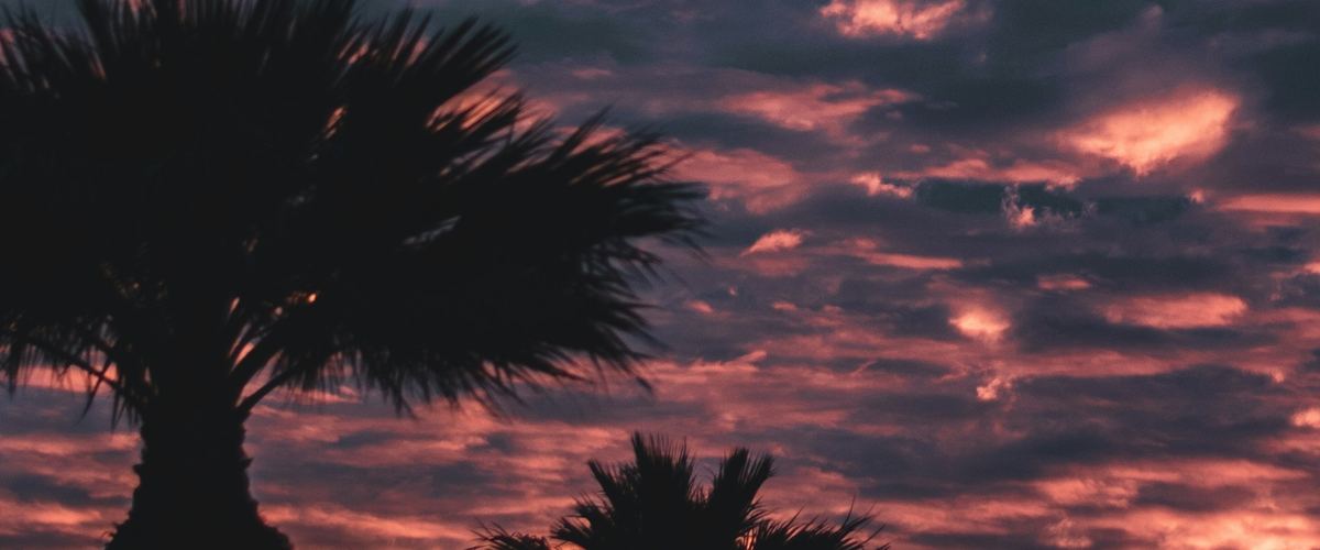 Palm trees silhouetted against a pink and purple Arizona sky